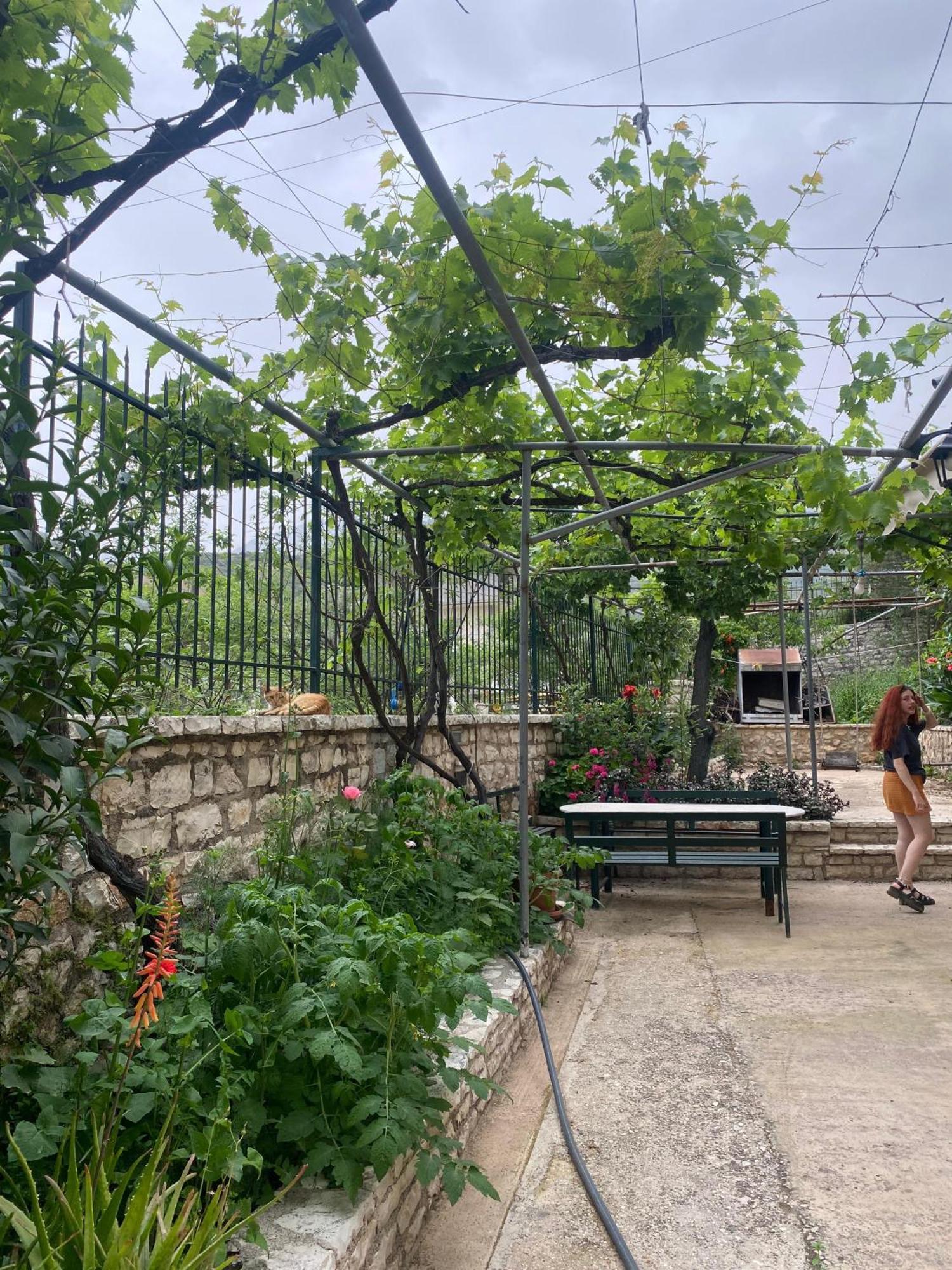 Oasis Hostel Хімара Екстер'єр фото
